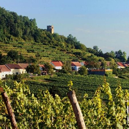 Prabatsch-Aichinger Winzergut Lejlighed Langenlois Eksteriør billede